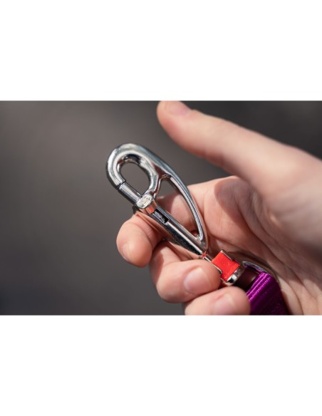 Laisse pour Chien Red Dingo Fuchsia