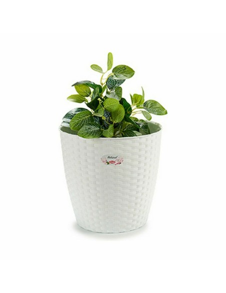 Cache-pot Stefanplast Blanc Plastique 29 x 27 x 29 cm (6 Unités)