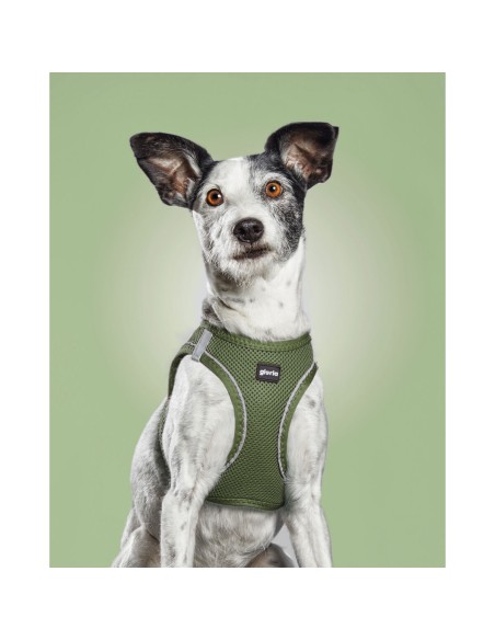 Harnais pour Chien Gloria 41,4-43 cm Vert S 29,4-32,6 cm