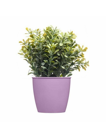 Cache-pot Stefanplast Academy Plastique 11,3 x 10 x 11,3 cm (60 Unités)