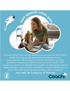 Jouet d'entraînement Coachi Bleu 2