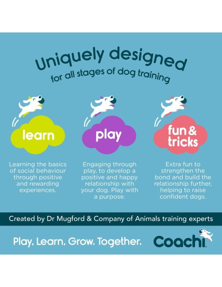 Jouet d'entraînement Coachi TRAINING DUMMY Bleu