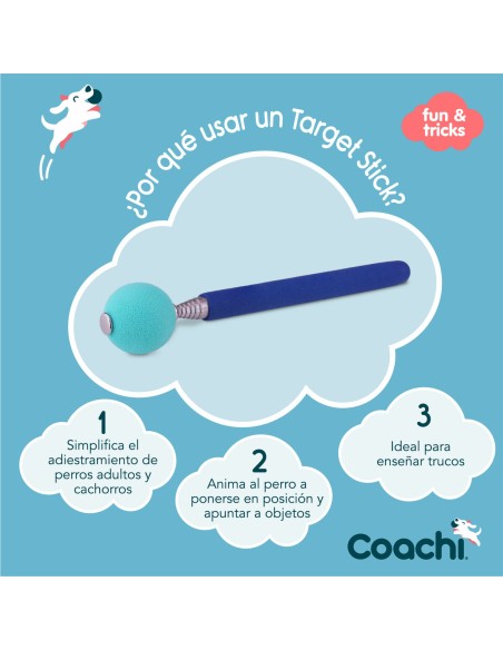 Jouet d'entraînement Coachi Stick Bleu
