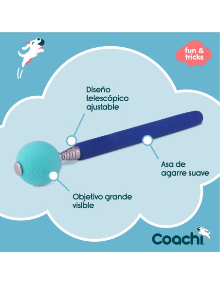 Jouet d'entraînement Coachi Stick Bleu