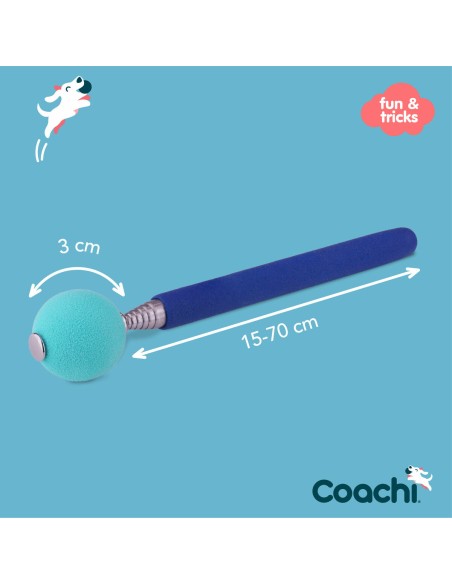 Jouet d'entraînement Coachi Stick Bleu