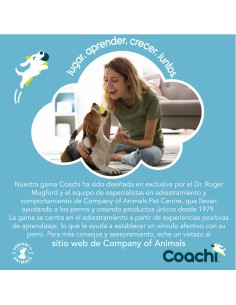 Jouet d'entraînement Coachi Bells Bleu 2