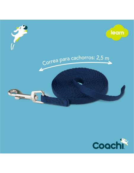 Laisse pour Chien Coachi Bleu 2,5 m Formation