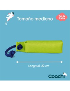 Jouet d'entraînement Coachi 2