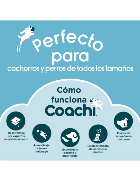Jouet d'entraînement Coachi