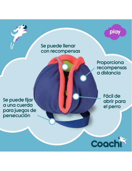 Jouet d'entraînement Coachi CHASE & TREAT Bleu