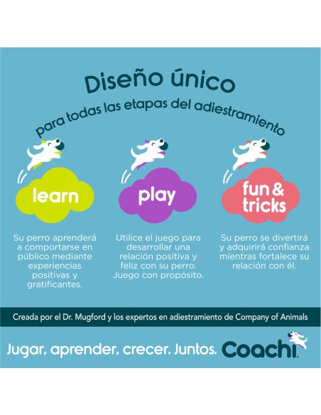 Jouet d'entraînement Coachi CHASE & TREAT Bleu
