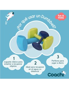 Haltère Coachi TRAINING DUMBBELL 12 Plastique 2