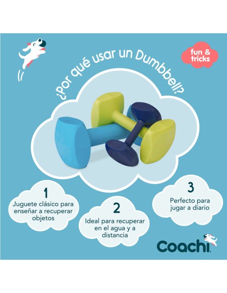 Haltère Coachi TRAINING DUMBBELL 12 Plastique