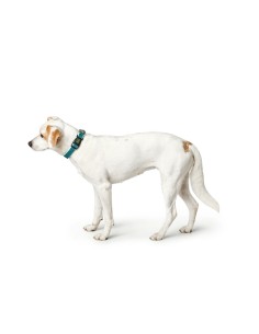 Collier pour Chien Hunter Turquoise 12 2