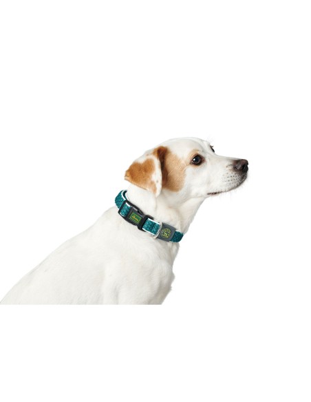 Collier pour Chien Hunter Turquoise 12