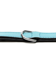 Collier pour Chien Gloria 30 cm Rembourré Cuir Bleu 2