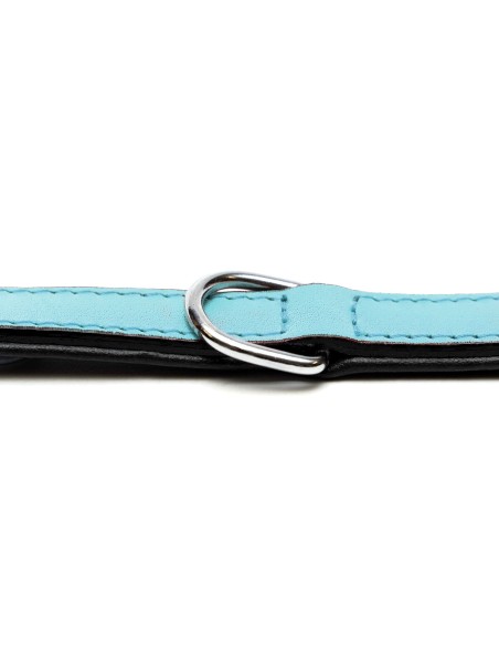 Collier pour Chien Gloria 30 cm Rembourré Cuir Bleu