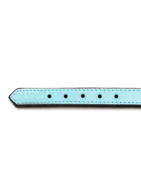 Collier pour Chien Gloria 30 cm Rembourré Cuir Bleu