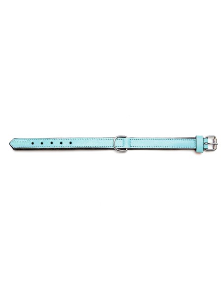 Collier pour Chien Gloria 30 cm Rembourré Cuir Bleu