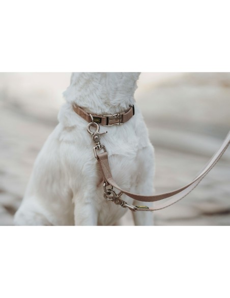 Collier pour Chien Hunter Inari Beige 40-55 cm L