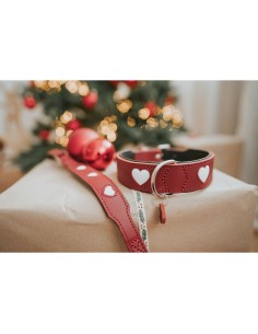 Collier pour Chien Hunter Love S/M 35-40 cm Rojo/Blanco 2